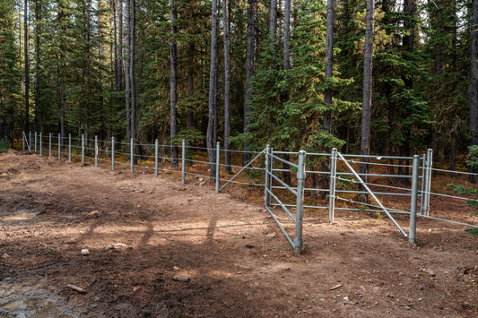 Margaret Lake Project Complete - November 6, 2024
